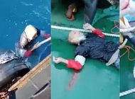 desgarrador: captan el rescate de un balsero cubano a punto de morir ahogado