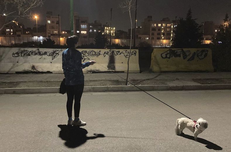 Una mujer iraní sin el velo obligatorio pasea su perro en un parque donde el grafitti contra el gobierno está tapado con pintura negra, 6 de marzo de 2023. Los iraníes marcan el primer aniversario de las protestas que estallaron cuando murió una joven a manos de la policía de la moral. (AP Foto/Vahid Salemi)