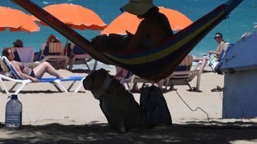 el tiempo estara estable y brumoso por el polvo del sahara