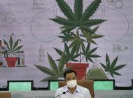 tailandia distribuira plantas gratis de marihuana