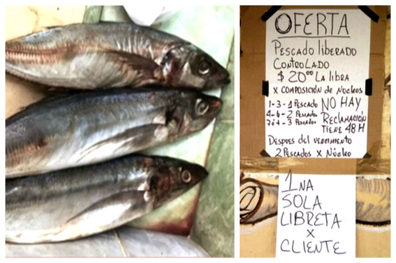pescado cuba.jpg