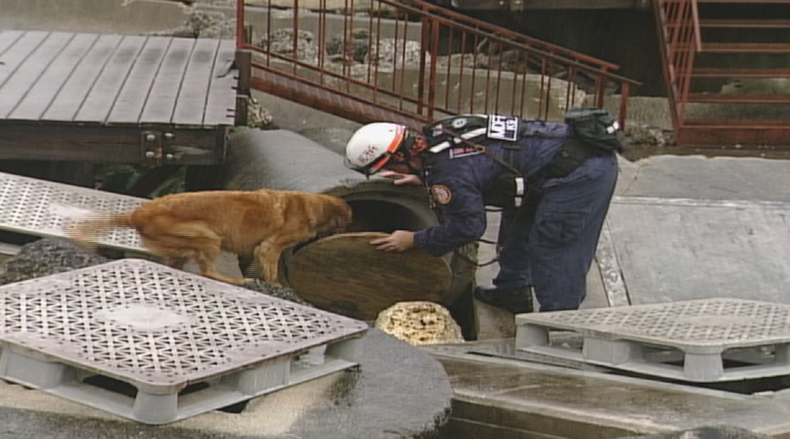 bomberos condado.png