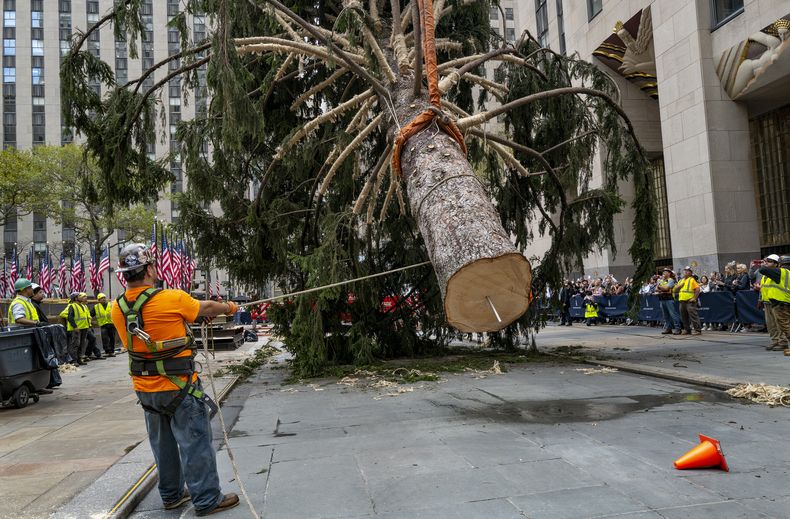 AMN-GEN NY-ARBOL DE NAVIDAD
