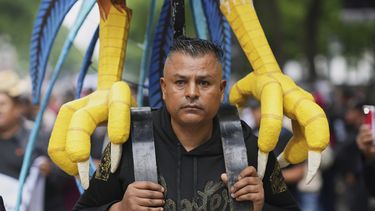 Un manifestante que lleva el disfraz de un gallo protesta en contra de las leyes que prohiben espectáculos como la riña de gallos y las corridas de toros en la Ciudad de México, el jueves 26 de junio de 2025 (AP Foto/Eduardo Verdugo)