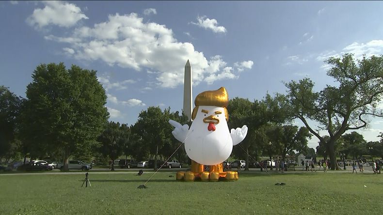 AMN-GEN_TRUMP-GALLINA_HINCHABLE-0.jpg