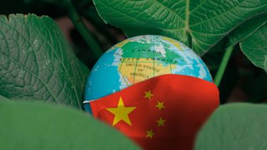 opinion: grupo verde que asesora a joe biden tiene vinculos con china