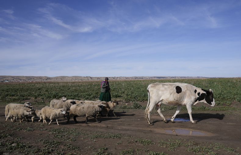 AMS-GEN BOLIVIA-RÍO CONTAMINADO