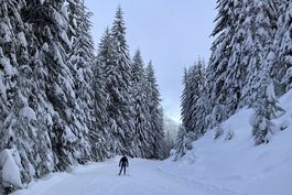 cambio climatico vuelve incierto el futuro del esqui nordico