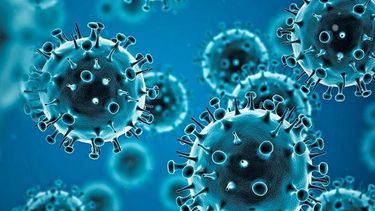 canada aprobo pastilla pfizer contra el covid-19