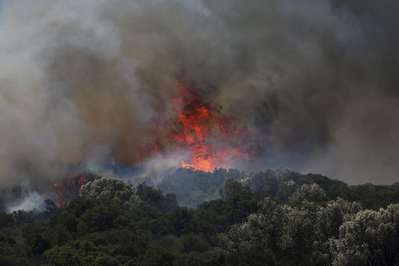 Un incendio arrasa un área boscosa de Cesme, cerca de Izmir, Turquía, el jueves 3 de julio de 2025. (Cengiz Malgir/Dia Foto vía AP)