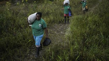 En esta imagen de archivo, un grupo de mujeres de la Asociación Nuestra Casa Común, cargan con sacos de fertilizante para reforestar una zona destrozada por la minería ilegal, cerca de Paimado, Colombia, el 24 de septiembre de 2024. (AP Foto/Iván Valencia, archivo)