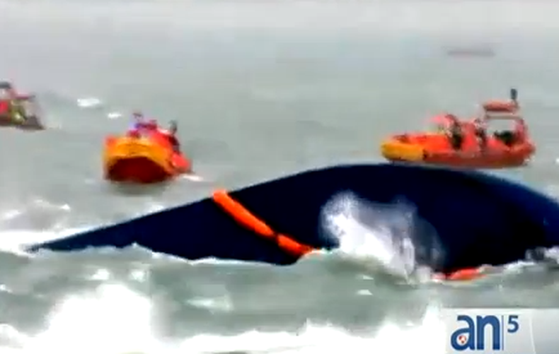 Aumenta a 20 el número de muertes por el naufragio de un barco en Corea del Sur. Todavía hay cerca de 300 desaparecidos y quedan esperanzas de que haya sobrevivientes atrapados adentro del casco.