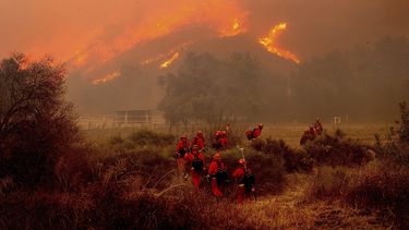 El incendio Mountain cerca de Moorpark, California, el 7 de noviembre del 2024. (AP foto/Noah Berger)