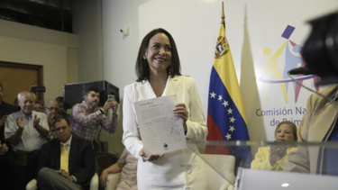 primarias, persecucion politica y cpi