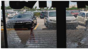 vandalizan tres tiendas de mascotas