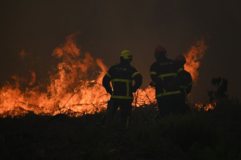 Bomberos rocían agua en un incendio forestal cerca de Lacanau, en el suroeste de Francia, el sábado 25 de julio de 2026. (AP Foto/Emma Da Silva)