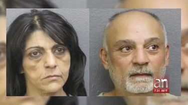 broward: capturan a las personas que se hicieron pasar por trabajadores de la flp para robarle a una anciana