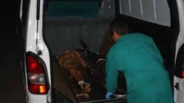 mueren al menos 13 pacientes en el hospital psiquiatrico de holguin