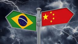 opinion | china-brasil: el interes del gigante asiatico en el sudamericano