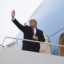 Trump presumirá logros de su gobierno en Estado de la Unión
