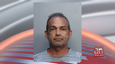 arrestan a un cubano de homestead por organizar peleas ilegales de gallos y posesion de marihuana