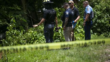 Drástica baja de asesinatos en la Isla