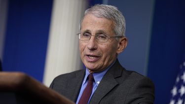 Fauci: partes de EEUU podrían reanudar actividades en mayo