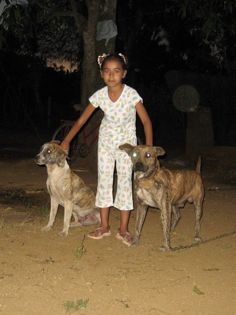 La polémica práctica se ha convertido en un recurso más para poder subsistir en la Isla.