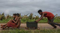Varios niños juegan en un camino cerca de una plantación de plátanos destruida por el paso del huracán Rafael, en Guira de Melena, Cuba, el jueves 7 de noviembre de 2024. (AP Foto/Ramon Espinosa)