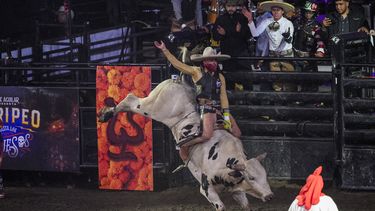 Un miembro del equipo de charrería monta un toro en el espectáculo Jaripeo hasta los huesos tour 2024 de Pepe Aguilar en el Honda Center en Anaheim, California, el viernes 29 de marzo de 2024. El espectáculo rinde homenaje al Día de Muertos, una conocida celebración mexicana. (Foto AP/Damian Dovarganes)