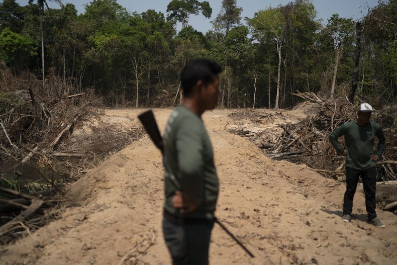 AMS-GEN BRASIL-AMAZONÍA-REPORTE