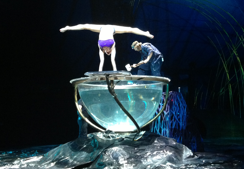 Miami se transforma en escenario de Cirque du Soleil, Amaluna.