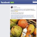 EEUU restringe la promoción del vapeo en redes sociales