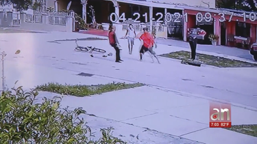se subieron a robar mangos en casa de su vecino en hialeah y terminaron apunalados por el dueno de la casa