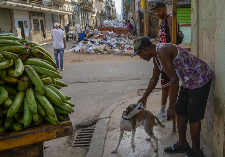 Un vendedor de frutas juega con un perro cerca de un montón de basura acumulada en una esquina en La Habana, Cuba, el martes 24 de septiembre de 2024. (Foto AP/Ramón Espinosa)