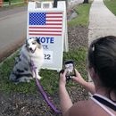 Susan Finan le toma una foto a su perra, Daisey, mientras espera a que su hija vote en la escuela secundaria Glenridge, el martes 5 de noviembre de 2024, en Orlando, Florida. (AP Foto/John Raoux)