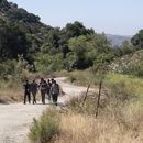 ARCHIVO - Migrantes de la India que desean solicitar asilo caminan hacia una zona de espera antes de ser trasladados y procesados, el miércoles 5 de junio de 2024, cerca de Dulzura, California. (AP Foto/Gregory Bull, Archivo)
