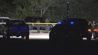 se disparan las alarmas ante irresponsabilidad de choferes y peatones en el sur de la florida
