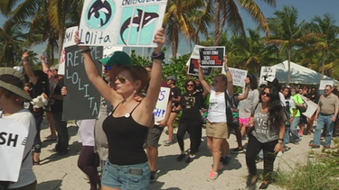 americateve | ACTIVISTAS.png