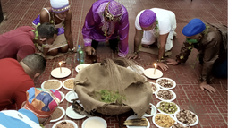 revelada en la habana: la letra del ano 2026 marca el rumbo espiritual de cuba