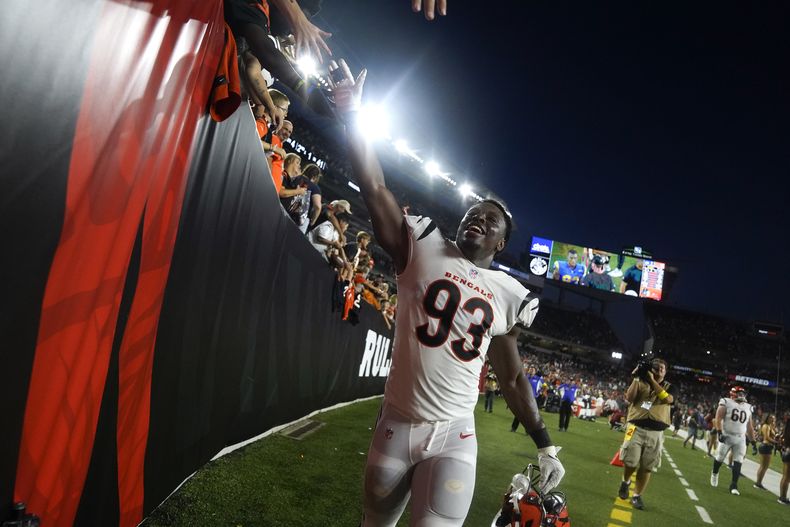DEP-NFL BENGALS-PANORAMA