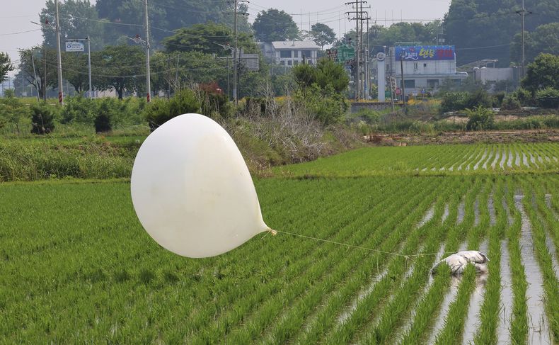 ARCHIVO - Un globo enviado probablemente por Corea del Norte se ve en un terreno de cultivo en Incheon, Corea del Sur, el 10 de junio de 2024. Kim Yo Jong, la poderosa hermana del líder norcoreano, Kim Jong Un, prometió el domingo 14 de julio de 2024 responder a lo que describió como una campaña civil de panfletos surcoreanos, lo que podría apuntar a nuevos envíos de globos de basura desde Corea del Norte hacia el otro lado de la frontera. (Im Sun-suk/Yonhap via AP, Archivo)