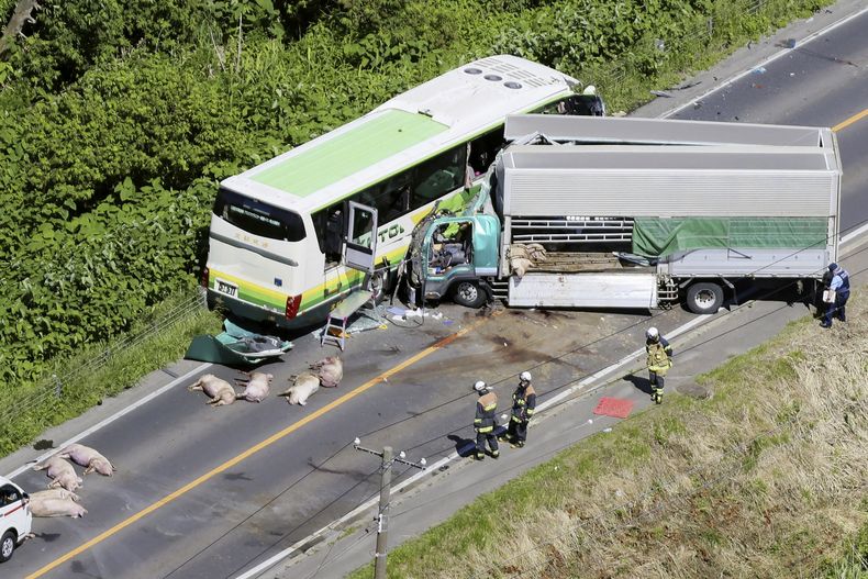 Investigadores revisan el lugar donde se registró un choque entre un autobús y un camión en Yakumo, en la prefectura de Hokkaido, en el norte de Japón, el lunes 18 de junio de 2023. (Kyodo News vía AP)