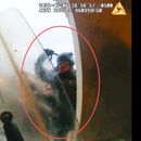 Foto de video sacado de una cámara corporal policial, incluida y registrada en el expediente del Departamento de Justicia, en apoyo a la orden de arresto contra Edward Richmond Jr., en el Capitolio en Washington el 6 de enero de 2021. (Departmento de Justicia via AP)