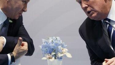 nuevos informes indican que funcionarios rusos creen que trump ya ha aceptado el plan de paz del kremlin para finalizar la guerra en ucrania