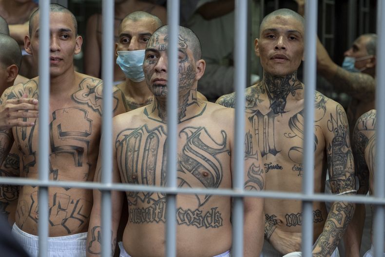 Reos con tatuajes de la pandilla MS-13 observan mientras la secretaria de Seguridad Nacional de Estados Unidos, Kristi Noem, recorre el Centro de Confinamiento del Terrorismo el miércoles 26 de marzo de 2025, en Tecoluca, El Salvador. (AP Foto/Alex Brandon)