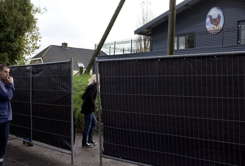 Un hombre se encuentra frente a un establecimiento av&iacute;cola en Hekendorp, Holanda, donde se detect&oacute; un caso de gripe aviar el 17 de noviembre de 2014. El gobierno ha prohibido el transporte de aves y huevos dentro del pa&iacute;s. (AP Foto/Pe