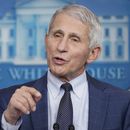 Fauci: EEUU sopesa agregar prueba negativa a asintomáticos
