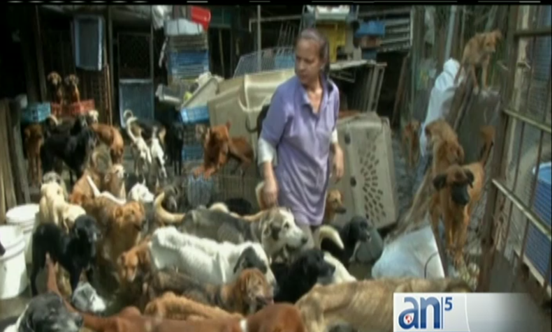 Screen Shot 2016-09-08 at 5.59.44 PM.png