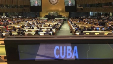denuncian ante la onu y la unicef la situacion de los menores de edad encarcelados en cuba tras el 11j